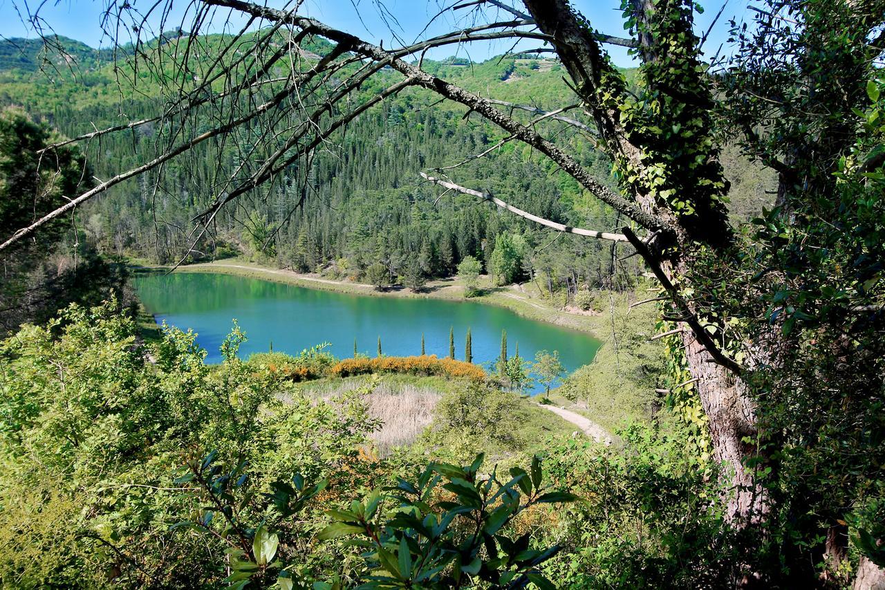 Agriturismo Vinci Gaiole in Chianti Zewnętrze zdjęcie